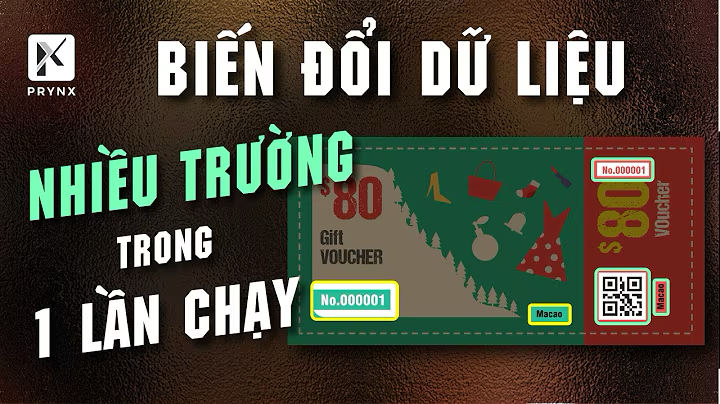 Hình ảnh - Hướng dẫn trộn dữ liệu VDP cho 20.000 voucher với PrynX